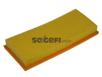 Air Filter PURFLUX A1070