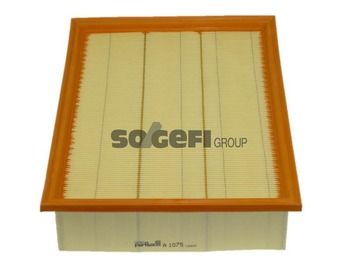 Air Filter PURFLUX A1075