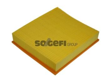 Air Filter PURFLUX A1087