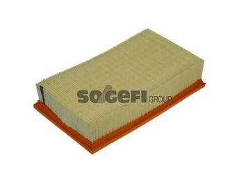 Air Filter PURFLUX A1110