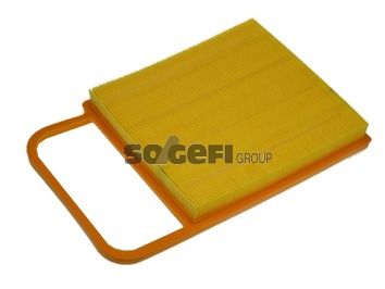 Air Filter PURFLUX A1153