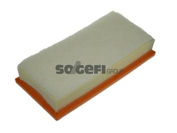 PURFLUX A1179 Air Filter