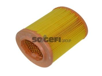 Air Filter PURFLUX A1211