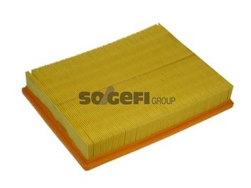Air Filter PURFLUX A1212