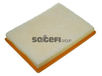 Air Filter PURFLUX A1250