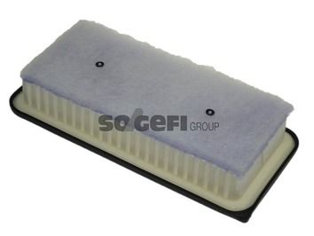 Air Filter PURFLUX A1251