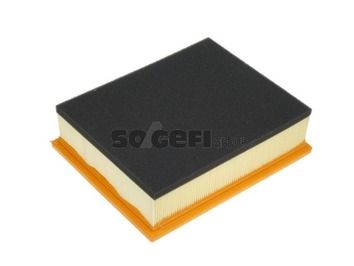 Air Filter PURFLUX A1308