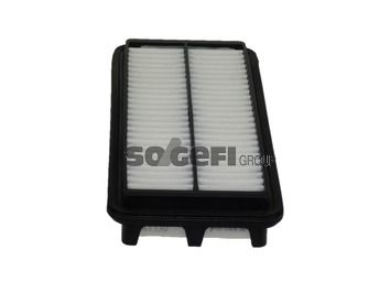 Air Filter PURFLUX A1330