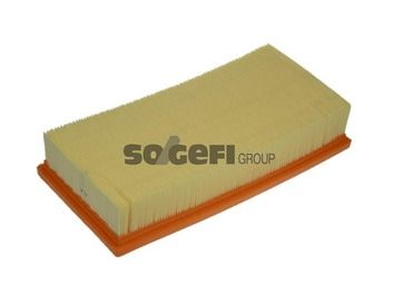 Air Filter PURFLUX A1365