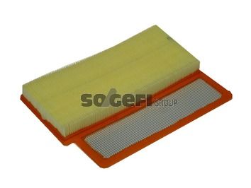 PURFLUX A1459 Air Filter