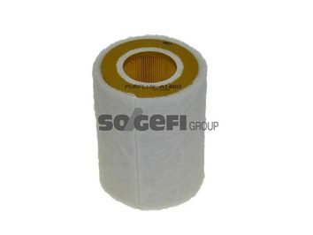PURFLUX A1460 Air Filter