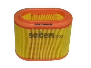 Air Filter PURFLUX A1461