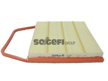 Air Filter PURFLUX A1491