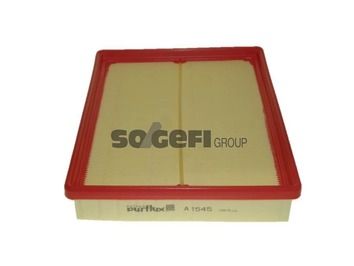 Air Filter PURFLUX A1545