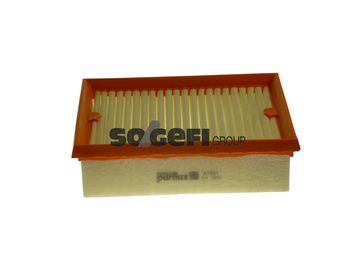 Air Filter PURFLUX A1581