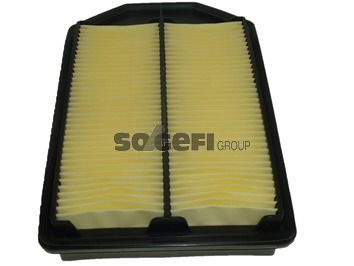 Air Filter PURFLUX A1587