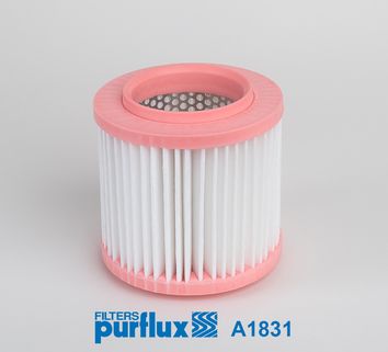 Air Filter PURFLUX A1831
