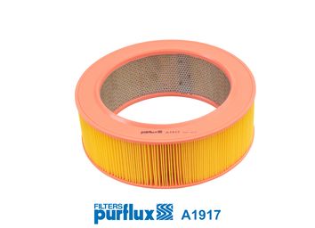 Air Filter PURFLUX A1917