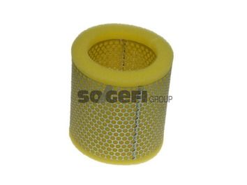 Air Filter PURFLUX A591