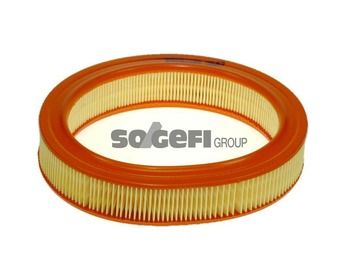 Air Filter PURFLUX A649