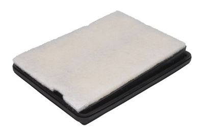 Air Filter PURRO PUR-PA2086