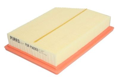 Air Filter PURRO PUR-PA6009