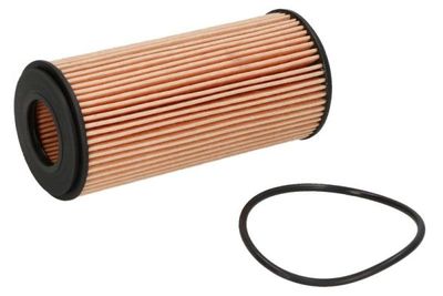Oil Filter PURRO PUR-PO0004