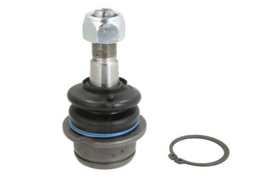 Ball Joint REINHOCH RH03-0030