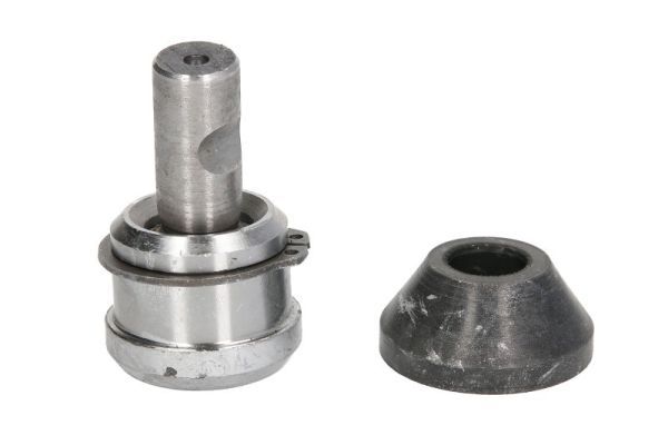 REINHOCH RH03-6007 Ball Joint