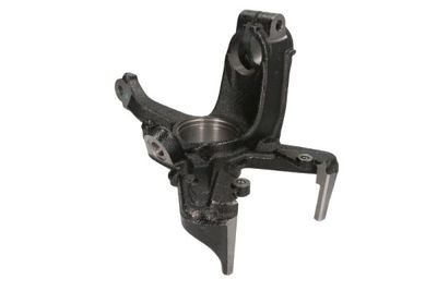 Steering Knuckle, wheel suspension REINHOCH RH08-0011