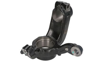 Steering Knuckle, wheel suspension REINHOCH RH08-0034