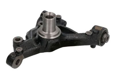 Steering Knuckle, wheel suspension REINHOCH RH08-0050
