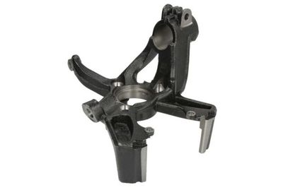 Steering Knuckle, wheel suspension REINHOCH RH08-0061