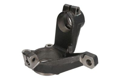 Steering Knuckle, wheel suspension REINHOCH RH08-2006