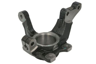 Steering Knuckle, wheel suspension REINHOCH RH08-5001
