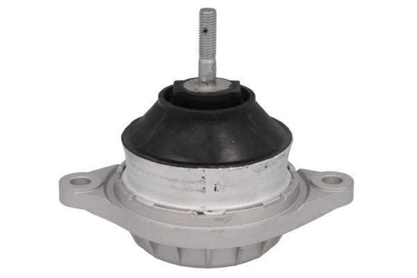 REINHOCH RH11-0002 Mounting, engine