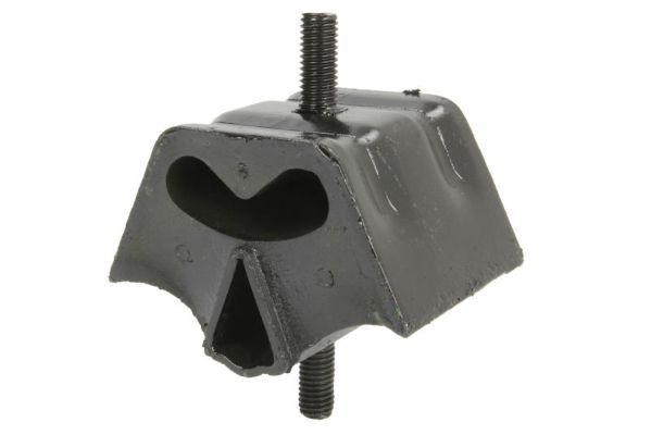 REINHOCH RH11-0003 Mounting, engine
