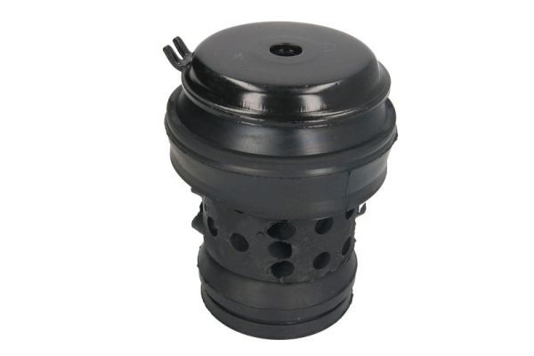 REINHOCH RH11-0005 Mounting, engine