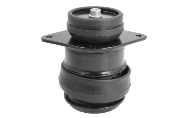 REINHOCH RH11-0012 Mounting, engine