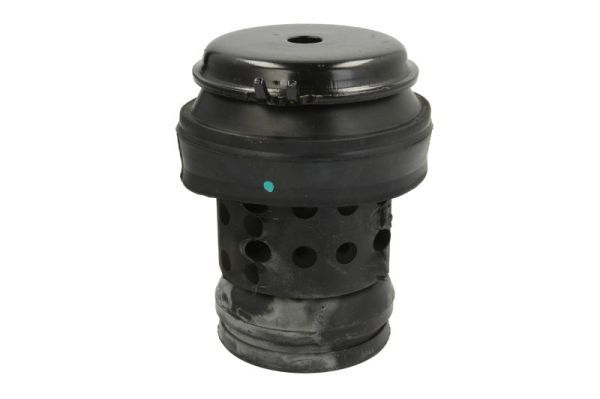 REINHOCH RH11-0013 Mounting, engine