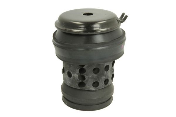REINHOCH RH11-0018 Mounting, engine