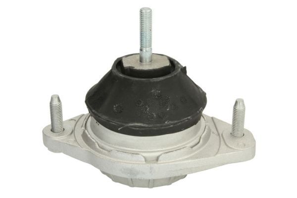 REINHOCH RH11-0021 Mounting, engine