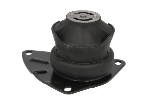 REINHOCH RH11-0026 Mounting, engine