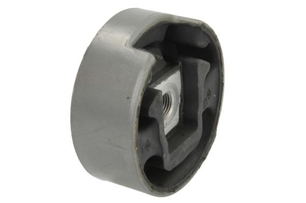 REINHOCH RH11-0039 Mounting, engine