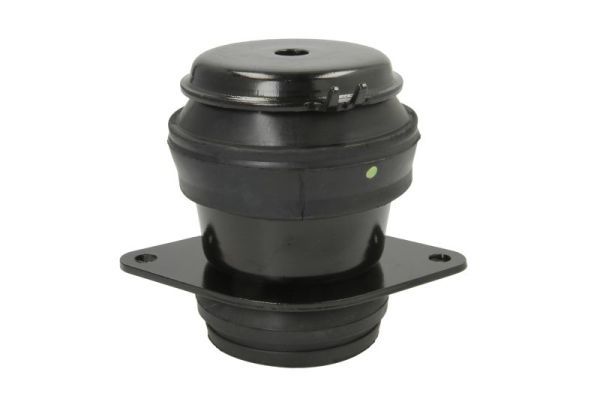 REINHOCH RH11-0040 Mounting, engine