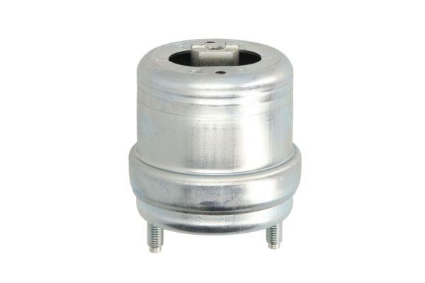 REINHOCH RH11-0054 Mounting, engine