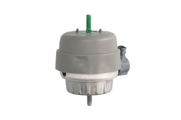 REINHOCH RH11-0056 Mounting, engine