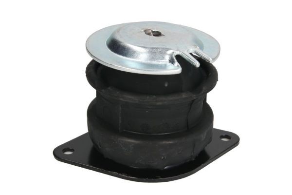 REINHOCH RH11-0057 Mounting, engine