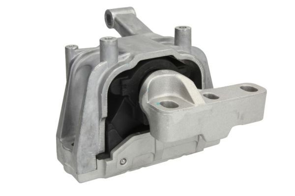 REINHOCH RH11-0060 Mounting, engine