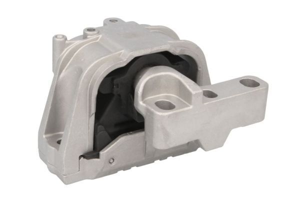 REINHOCH RH11-0066 Mounting, engine